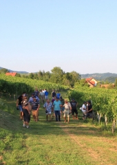 Predstavitev-škropilnega-programa-pri-Balonovih-Bizeljsko-2019-25