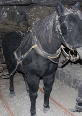 Romanje-na-Poljsko-2019-107