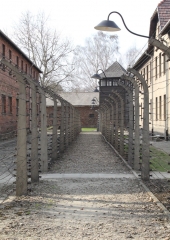 Romanje-na-Poljsko-2019-45