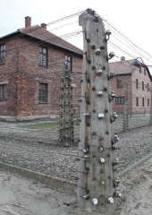 Romanje-na-Poljsko-2019-47