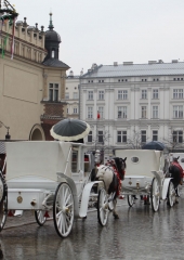 Romanje-na-Poljsko-2019-89