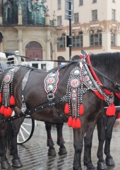 Romanje-na-Poljsko-2019-91