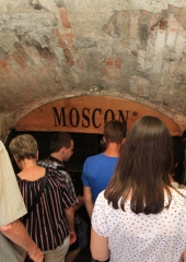 Rumeni-plavec-bizeljskih-vinogradnikov-grajska-klet-Brežice-12