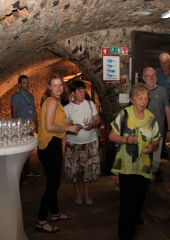 Rumeni-plavec-bizeljskih-vinogradnikov-grajska-klet-Brežice-13