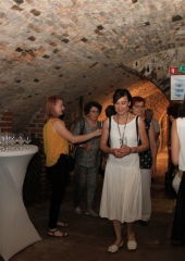 Rumeni-plavec-bizeljskih-vinogradnikov-grajska-klet-Brežice-15