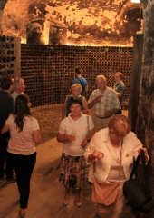 Rumeni-plavec-bizeljskih-vinogradnikov-grajska-klet-Brežice-26