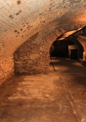 Rumeni-plavec-bizeljskih-vinogradnikov-grajska-klet-Brežice-47