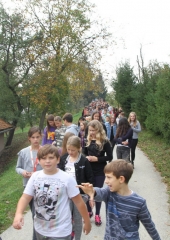 Simbioza giba na OŠ Bizeljsko (21)