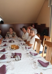 Srečanje kmetic Posavja avgust 2016 (115)