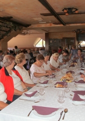 Srečanje kmetic Posavja avgust 2016 (120)