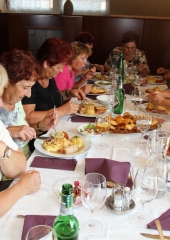 Srečanje kmetic Posavja avgust 2016 (123)