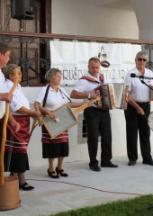 Srečanje kmetic Posavja avgust 2016 (21)