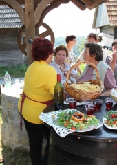 Srečanje kmetic Posavja avgust 2016 (65)