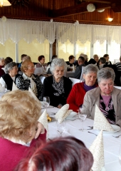 Srečanje starostnikov Bizeljsko 2016 (8)