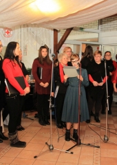 Srečanje starejših krajanov (5)