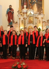 Srecanje-Vinkovih-pevcev-na-Bizeljskem-2024-11