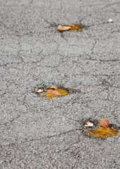 Tretje-vaske-igre-po-gasilsko-Bizeljsko-2024-63