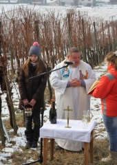 Vincencevo 2017 (10)