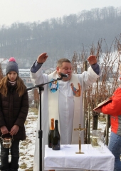 Vincencevo 2017 (11)
