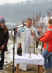 Vincencevo 2017 (13)