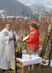 Vincencevo 2017 (16)