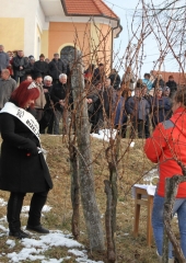 Vincencevo 2017 (20)