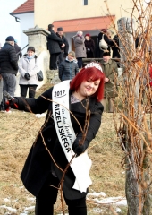 Vincencevo 2017 (23)