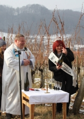 Vincencevo 2017 (27)