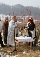 Vincencevo 2017 (29)