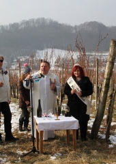 Vincencevo 2017 (33)
