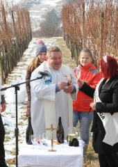 Vincencevo 2017 (36)
