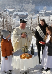 Vincencevo-Bizeljsko-2024-11