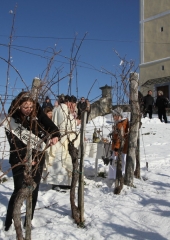 Vincencevo-Bizeljsko-2024-15