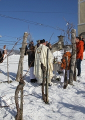 Vincencevo-Bizeljsko-2024-17