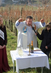 Vincencevo na Bizeljskem 2018 (10)