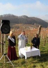 Vincencevo na Bizeljskem 2018 (11)