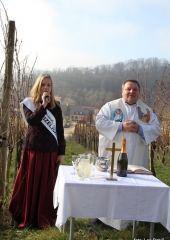 Vincencevo na Bizeljskem 2018 (15)