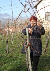 Vincencevo na Bizeljskem 2018 (17)