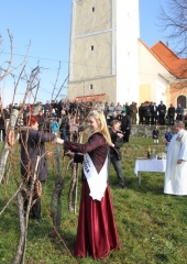 Vincencevo na Bizeljskem 2018 (18)