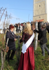 Vincencevo na Bizeljskem 2018 (20)