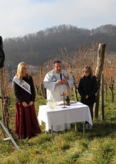 Vincencevo na Bizeljskem 2018 (8)