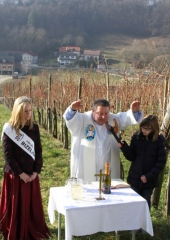 Vincencevo na Bizeljskem 2018 (9)