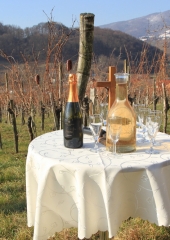 Vincencijevo Bizeljsko 2019 (1)