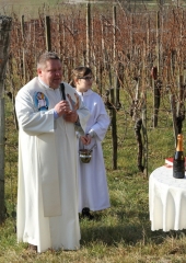 Vincencijevo Bizeljsko 2019 (10)