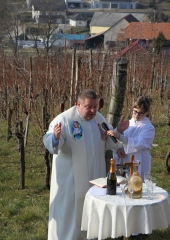 Vincencijevo Bizeljsko 2019 (18)