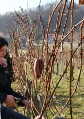 Vincencijevo Bizeljsko 2019 (26)