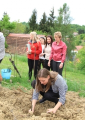 Vinske-kraljice-obiskale-Bizeljsko-2019-10