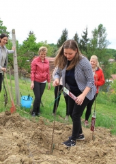 Vinske-kraljice-obiskale-Bizeljsko-2019-11