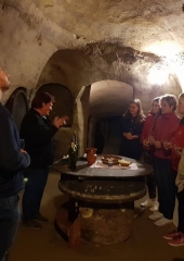 Vinske-kraljice-obiskale-Bizeljsko-2019-111