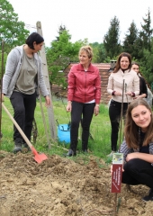Vinske-kraljice-obiskale-Bizeljsko-2019-13